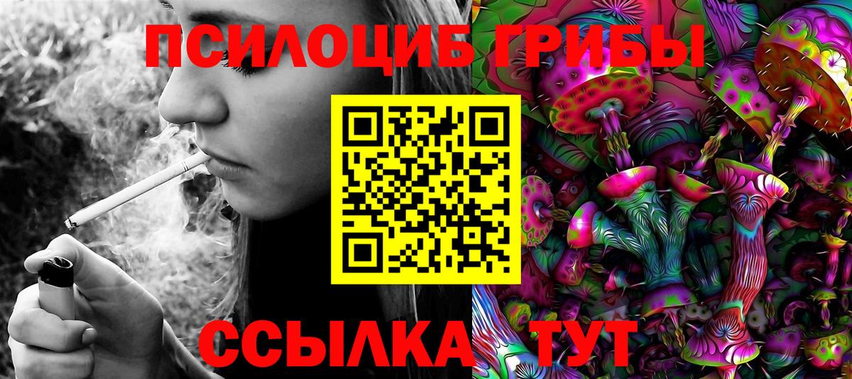 Можайск  Псилоцибиновые грибы GOLDEN TEACHER  Галлюциногенные грибы GOLDEN TEACHER  Вход с VPN 