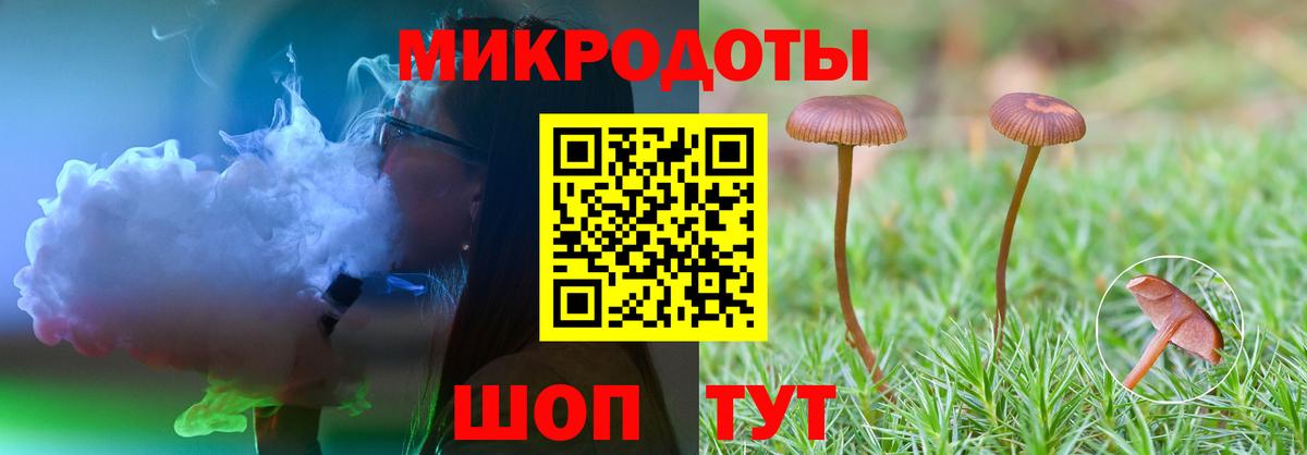 Псилоцибиновые грибы Psilocybe Можайск